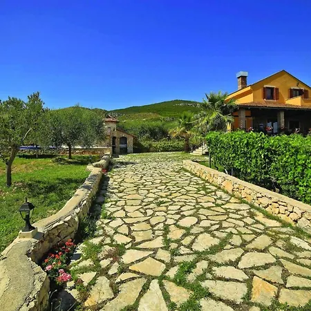 With A Fireplace 08 Plano